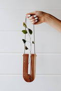 Blossom Hanging - Cedar